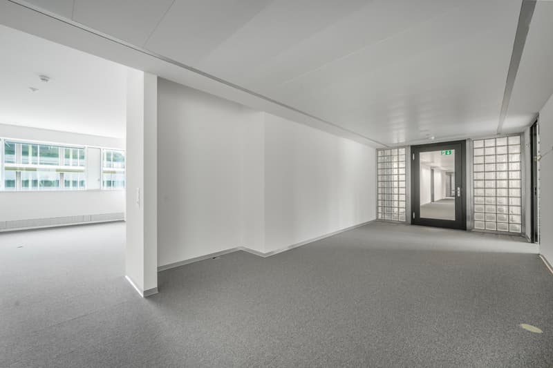 Espaces de bureau haut de gamme, prêts à être occupés, environ 450 m² (7)