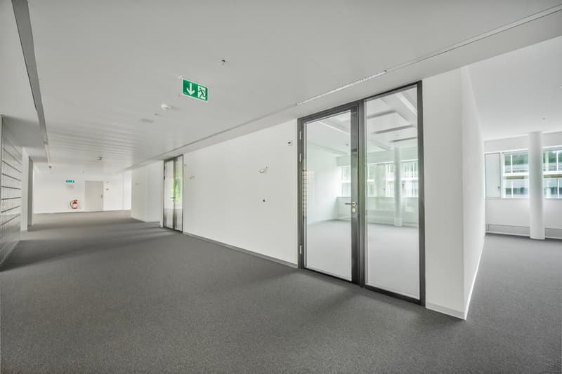 Espaces de bureau haut de gamme, prêts à être occupés, environ 450 m² (9)