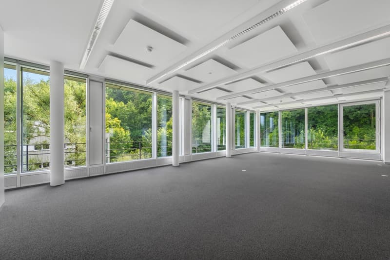 Espaces de bureau haut de gamme, prêts à être occupés, environ 450 m² (3)