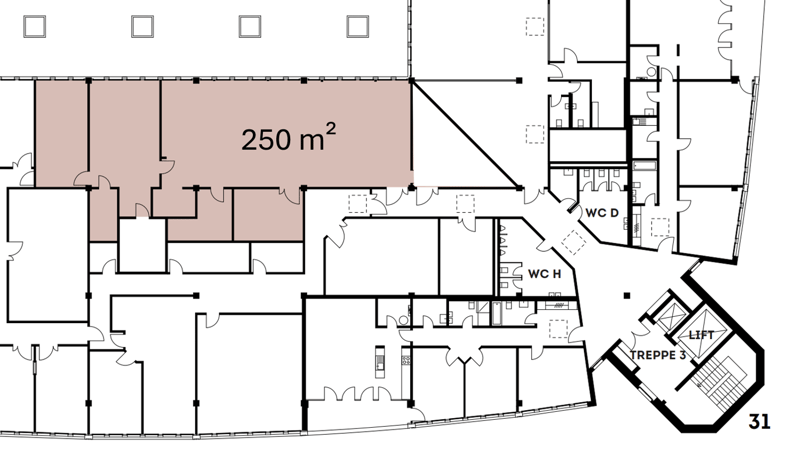 The floor plan shows a commercial or office space with a total area of 250 m2. It includes a large open area, two bathrooms (WC D and WC H), and a lift. The plan also indicates the presence of a balcony or terrace.