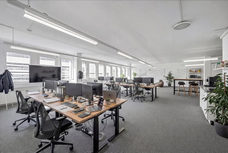 Modern office room with desks, chairs, monitors, keyboards, office supplies, windows, lamps, and potted plants.