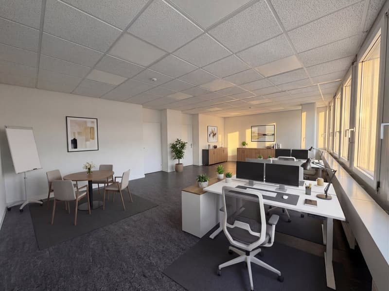 modern office with white walls, gray carpet, white desks, office chairs, round table, plants, whiteboard, picture frames, large windows