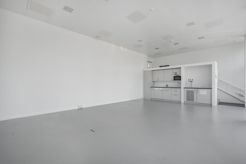 La tua nuova sede con 1'500 m² – moderna, attrezzata e pronta per l'occupazione (7)