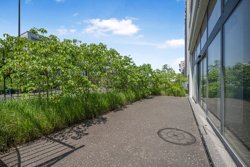 Il tuo nuovo ufficio con 300 m² – moderno, costruito e pronto per l'occupazione (9)