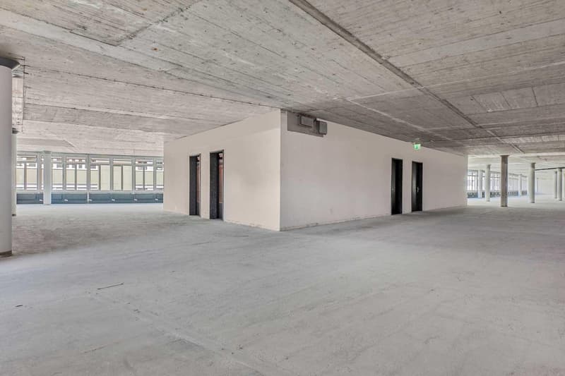 Large open space with concrete floor and ceiling, multiple doors, and windows along the walls.