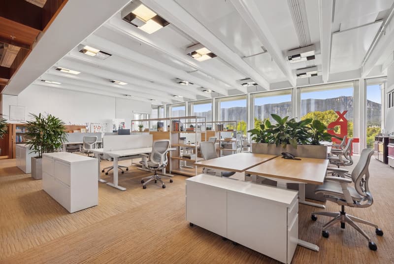 Modern office space, white desks, gray chairs, glass windows, wooden flooring, potted plants