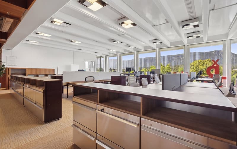 large office space with cubicles, desk, chairs, computer monitors, plants, large windows