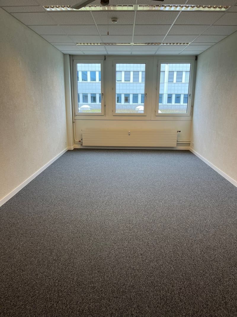 empty room, carpeted floor, radiators, large windows, outside view