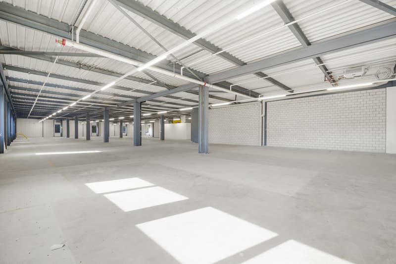 Hub logistico efficiente con infrastruttura completa – spazi da 420 a 2'300 m² (9)