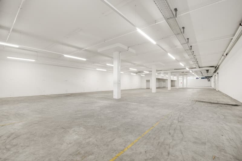 Hub logistico efficiente con infrastruttura completa – spazi da 420 a 2'300 m² (14)