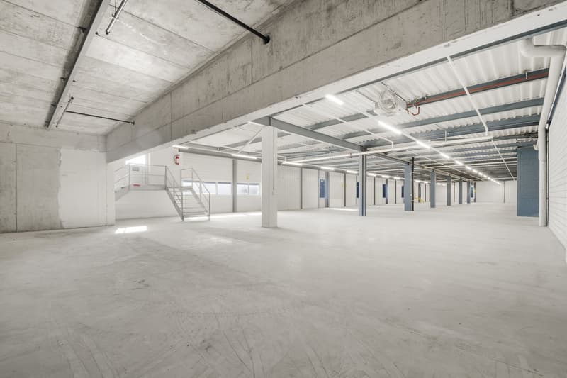 Hub logistico efficiente con infrastruttura completa – spazi da 420 a 2'300 m² (10)