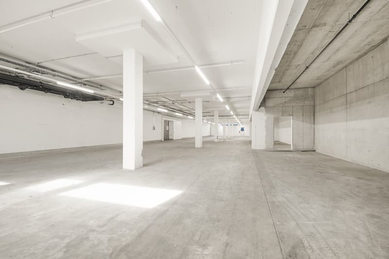 Hub logistico efficiente con infrastruttura completa – spazi da 420 a 2'300 m² (15)