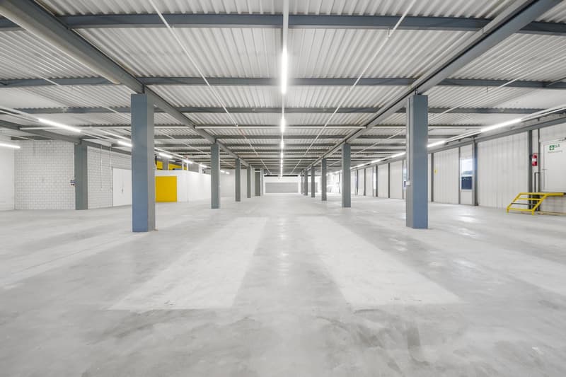 Hub logistico efficiente con infrastruttura completa – spazi da 420 a 2'300 m² (7)