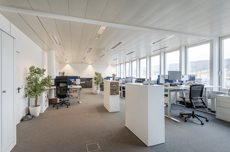 modern office space, white walls, gray carpet, white desks, black office chairs, white cabinets, potted plants, large windows