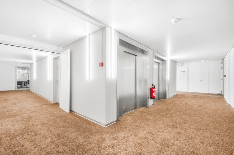 Empty hallway with carpeted floor, white walls, two elevators, fire extinguisher, and surveillance cameras.