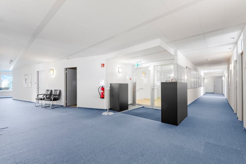 Empty hallway with blue carpet, white walls, two black chairs, fire extinguisher, glass doors, and wall-mounted lights.