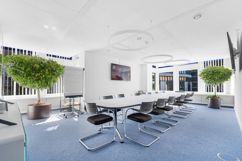 long table, chairs, whiteboard, plants, monitor