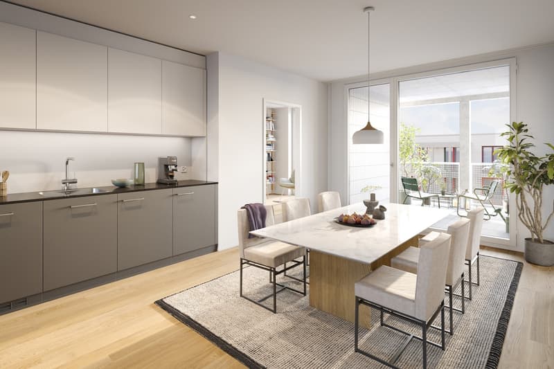 Vivere in modo sostenibile in un appartamento nuovo di 4,5 locali moderno (2)