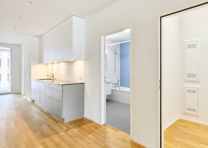Sustainable living in a modern 4.5-room new apartment (4)