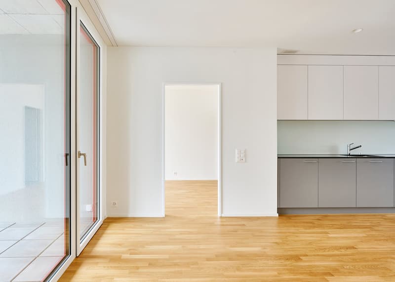 Sustainable living in a modern 4.5-room new apartment (2)