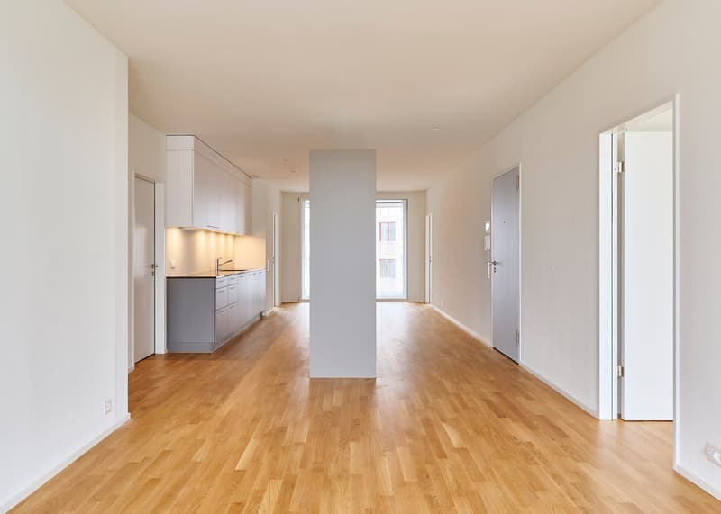 Sustainable living in a modern 4.5-room new apartment (5)