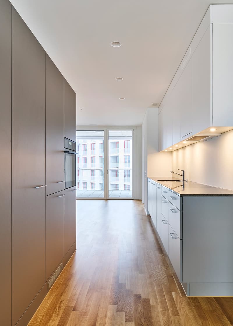 Sustainable living in a modern 4.5-room new apartment (3)