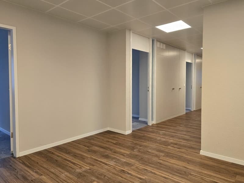 Petits bureaux dans un emplacement central à Wallisellen (3)