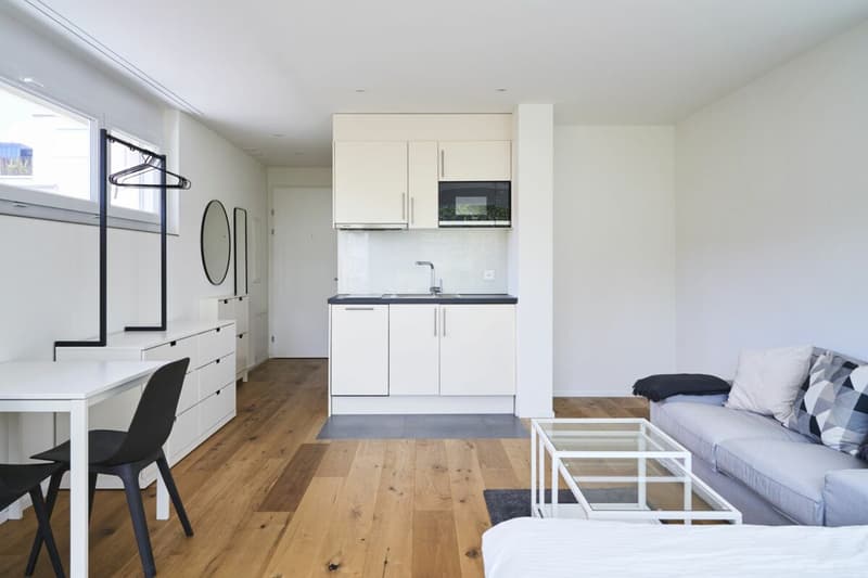 Appartamento moderno a Zürich Altstetten (4)