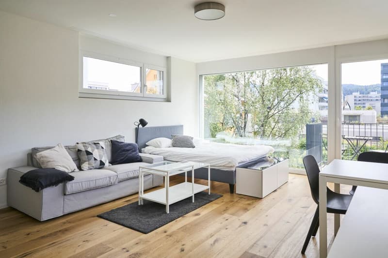 Appartamento moderno a Zürich Altstetten (2)
