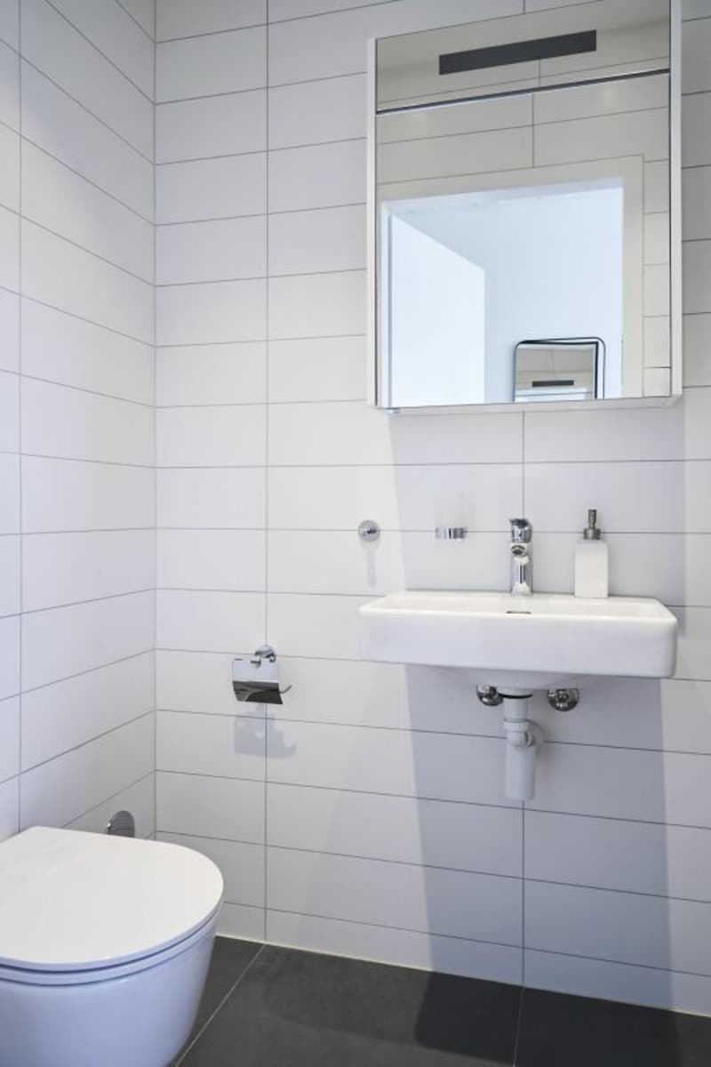 Appartamento moderno a Zürich Altstetten (6)
