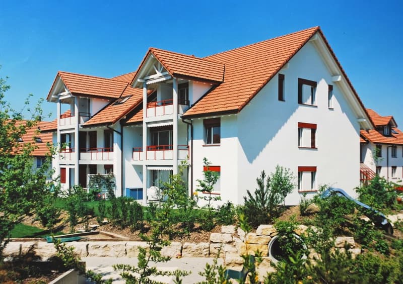Sunny 4.5 room apartment in a quiet settlement (7)