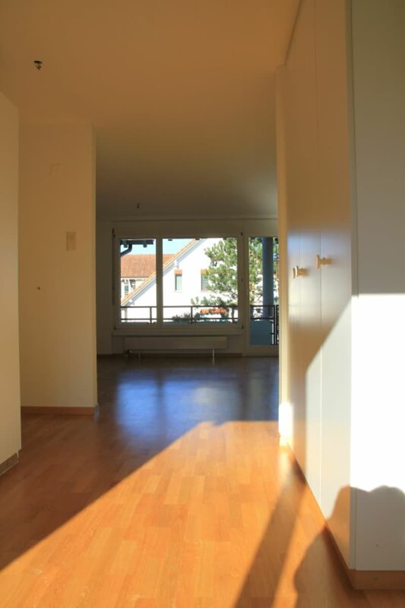 Sunny 4.5 room apartment in a quiet settlement (4)