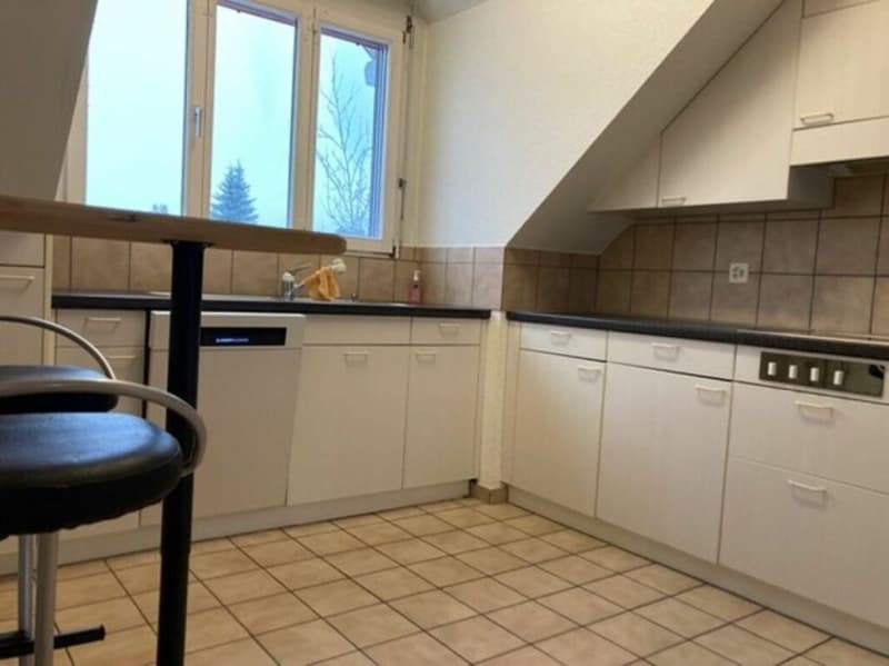 Sunny 4.5 room apartment in a quiet settlement (2)