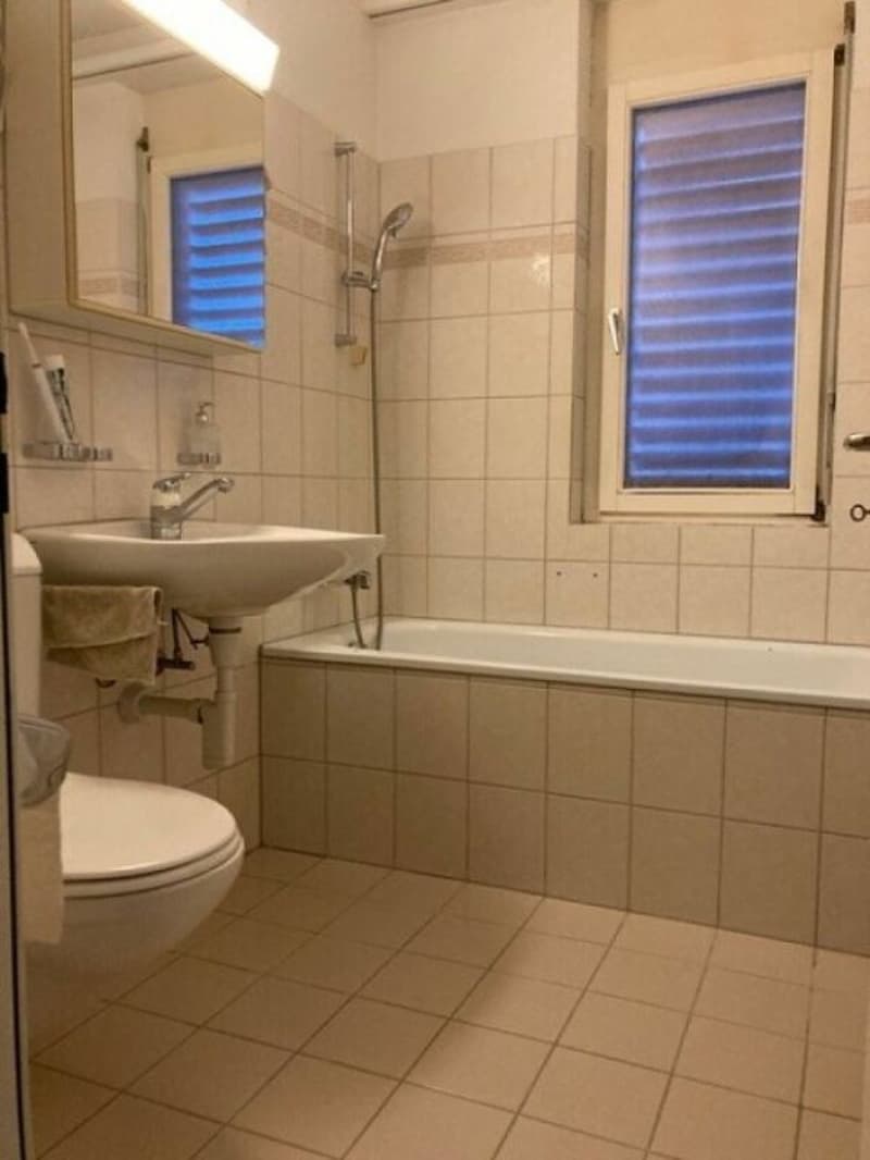 Sunny 4.5 room apartment in a quiet settlement (6)