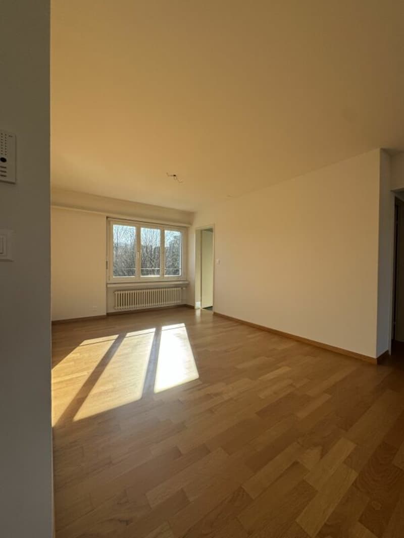 Charmant appartement 2.5 pièces avec flair (6)
