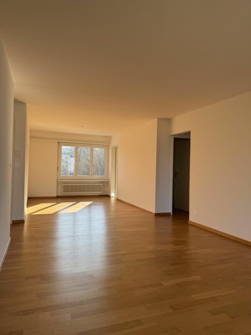 Charmant appartement 2.5 pièces avec flair (7)