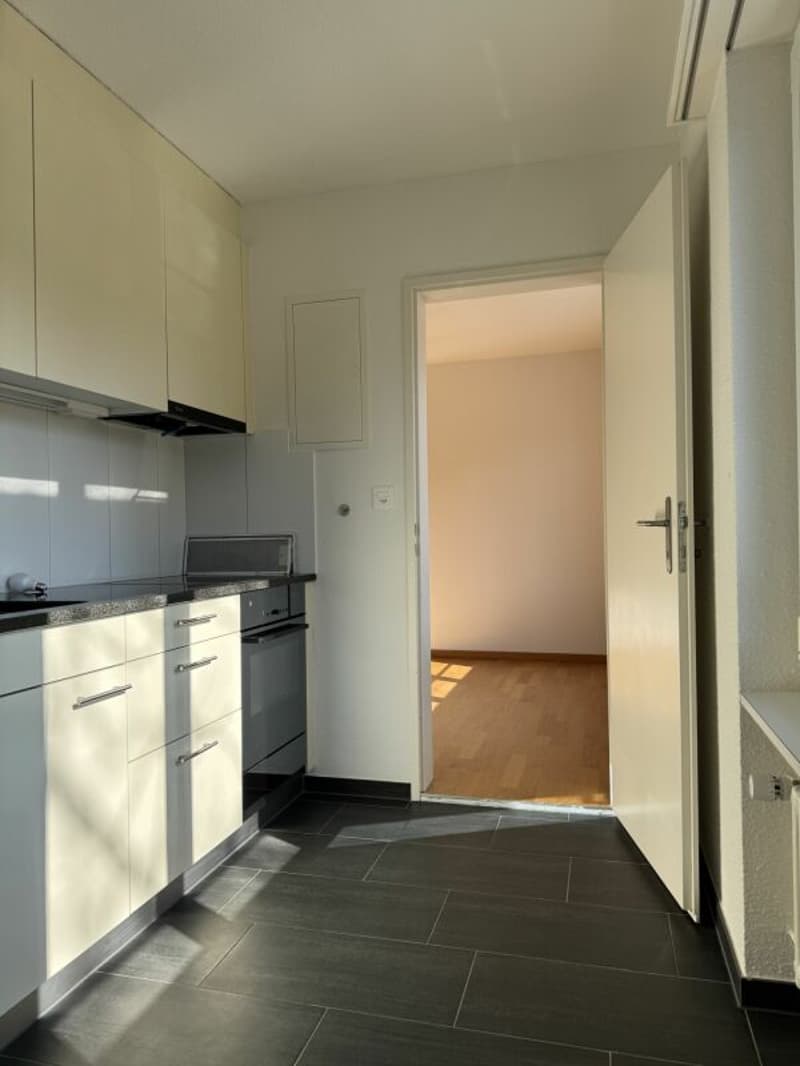 Charmant appartement 2.5 pièces avec flair (2)