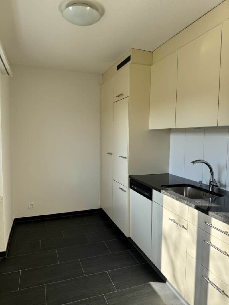 Charmant appartement 2.5 pièces avec flair (1)