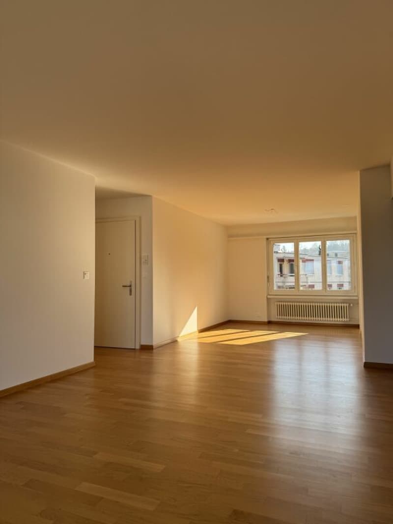 Charmant appartement 2.5 pièces avec flair (5)