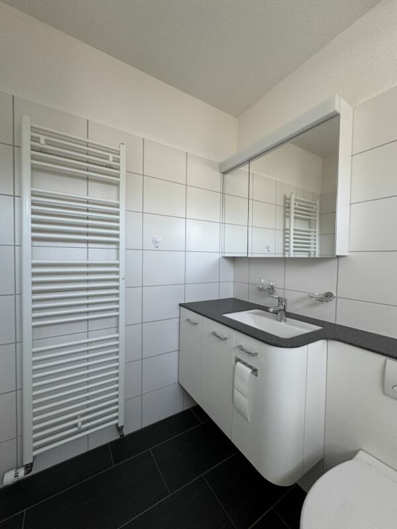 Charmant appartement 2.5 pièces avec flair (11)
