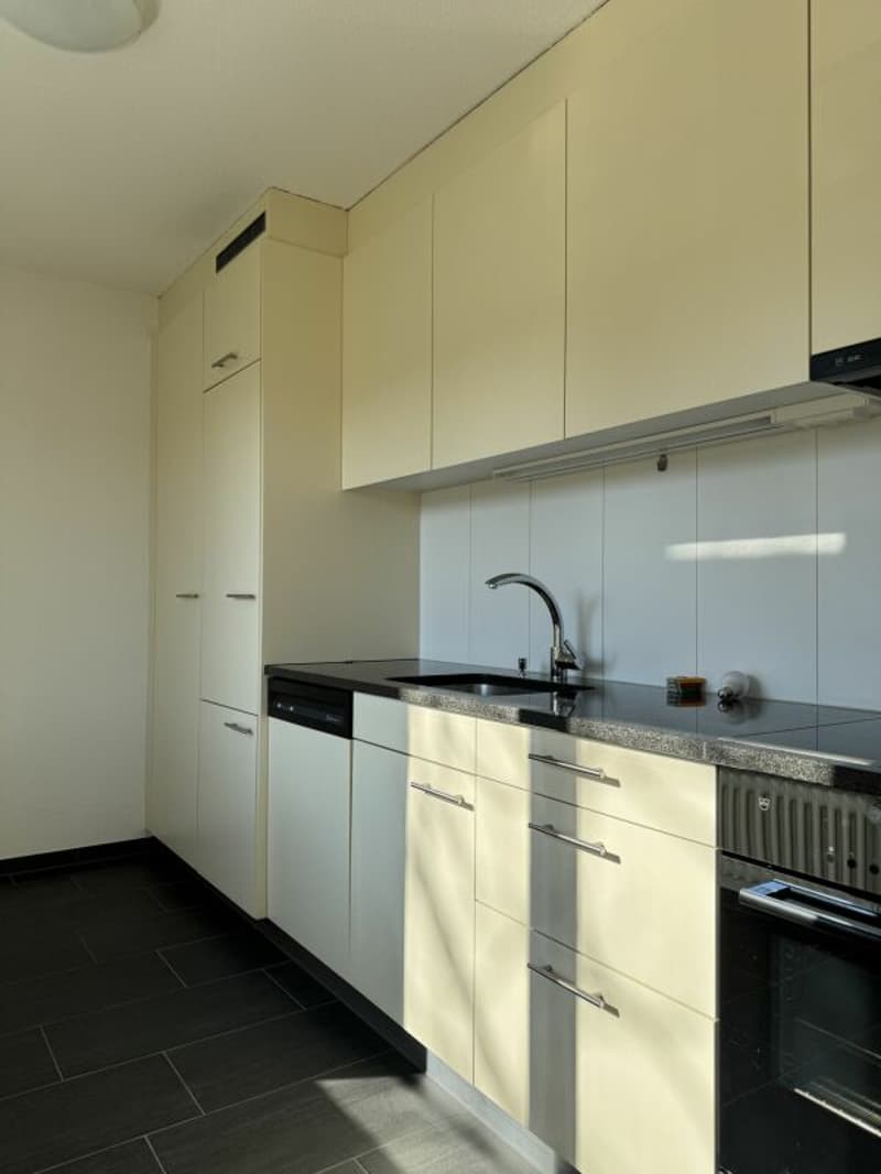 Charmant appartement 2.5 pièces avec flair (3)