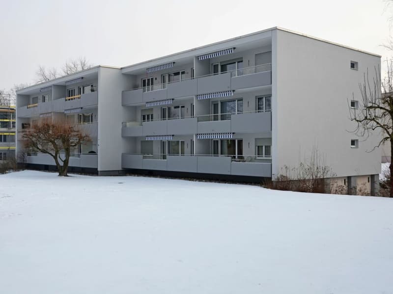 Charmant appartement 2.5 pièces avec flair (14)