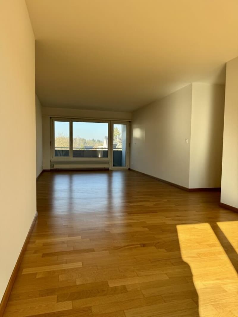 Charmant appartement 2.5 pièces avec flair (8)