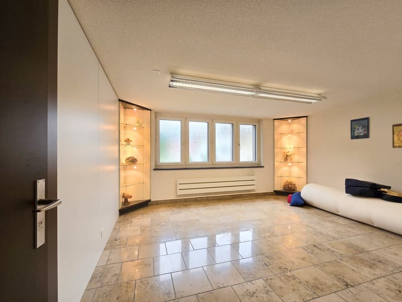 Commercial premises (3)