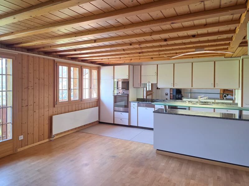 kitchen with modern appliances, wooden walls, large windows, wooden floor