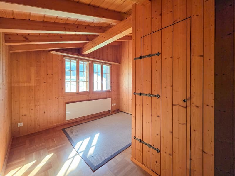 wooden interior, windows, radiator, door, rug