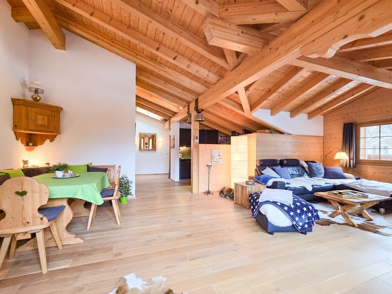wooden ceiling, wooden floor, dining table, chairs, sofa, bed, lamps, plants, rug