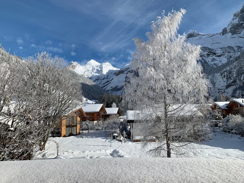 Snowy landscape with wooden chalets, mountains, and trees covered in snow