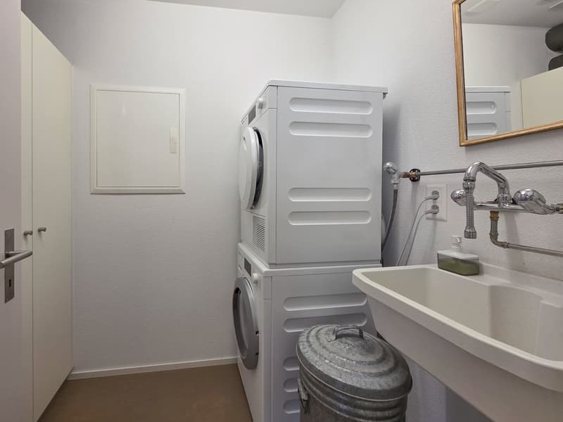 white walls, white washer, white dryer, white sink, white trash can, mirror