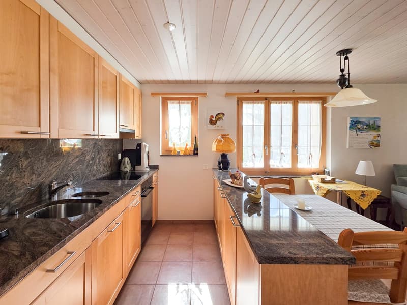 3.5 room apartment on the ground floor (6)